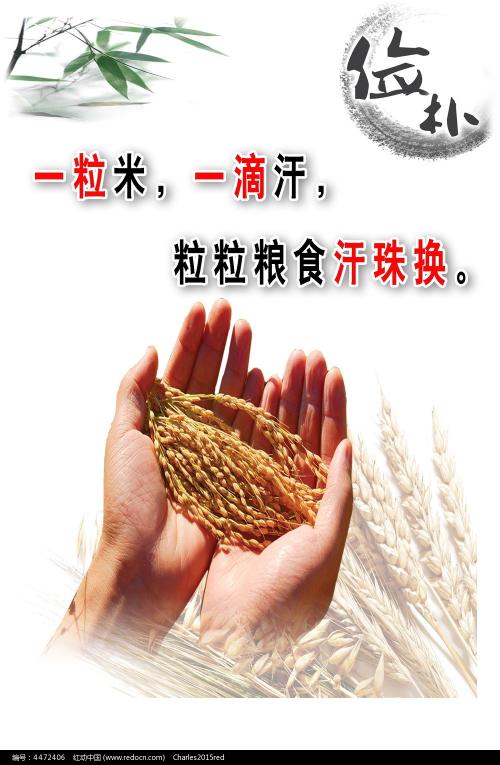 制作仿真雅思成绩证明